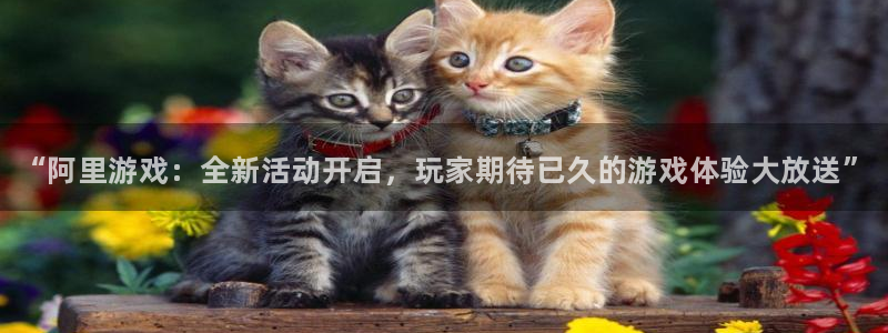 天美娱乐官方平台：“阿里游戏：全新活动开启，玩家期待已久的游