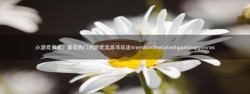 天美娱乐咨询：小游戏资讯：最近热门的游戏流派与玩法trend