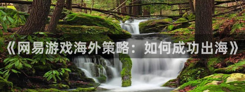 天美娱乐在线登录：《网易游戏海外策略：如何成功出海》