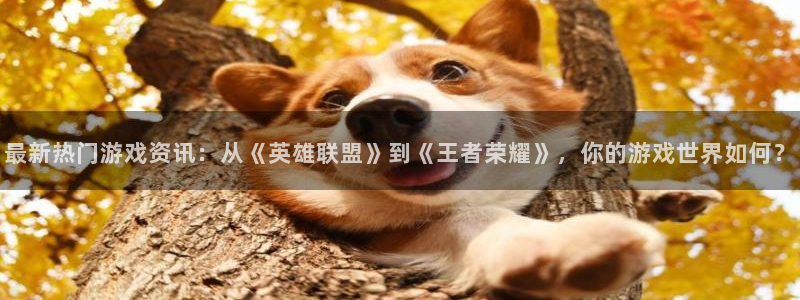 天美娱乐网址注册：最新热门游戏资讯：从《英雄联盟》到《王者荣