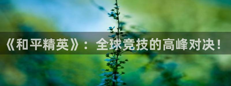 天美娱乐平台官网客服电话：《和平精英》：全球竞技的高峰对决！
