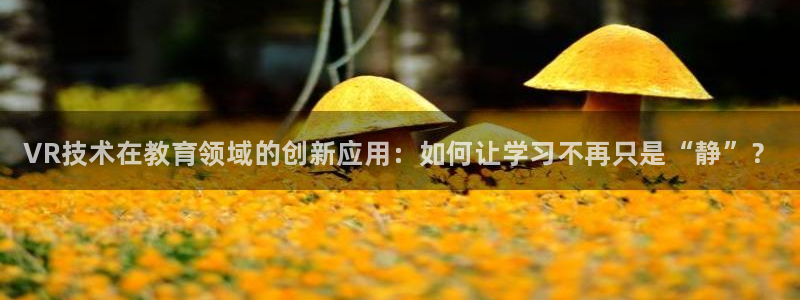 天美娱乐主管：VR技术在教育领域的创新应用：如何让学习不再只