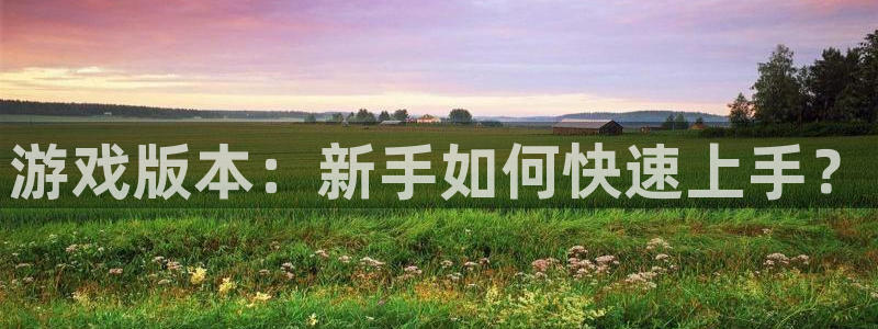天美娱乐直属：游戏版本：新手如何快速上手？