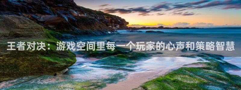 天美娱乐app下载地址：王者对决：游戏空间里每一个玩家的心声