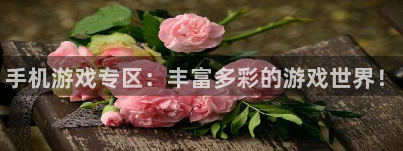 天美娱乐平台登录：手机游戏专区：丰富多彩的游戏世界！