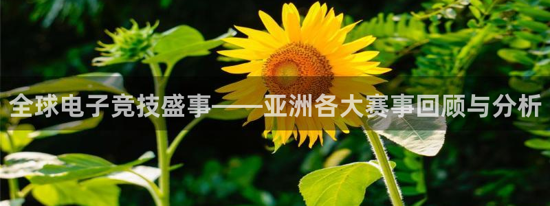 天美娱乐官网网址：全球电子竞技盛事——亚洲各大赛事回顾与分析